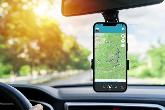 Mount Rainier National Park Self-Guided Audio Tour - Price and Value: One Booking, One Vehicle Day