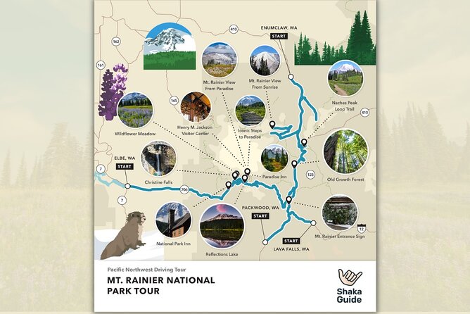 Mount Rainier National Park Self-Guided Audio Tour - Reflection Lakes to Box Canyon: The Photos Are the Point