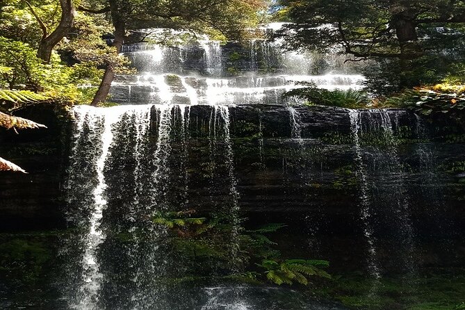 Mt Field National Park and Russell Falls from Hobart - Key highlights you should know before you go