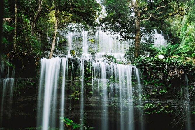 Mt Field National Park and Russell Falls from Hobart - A calm, small-group day trip from Hobart