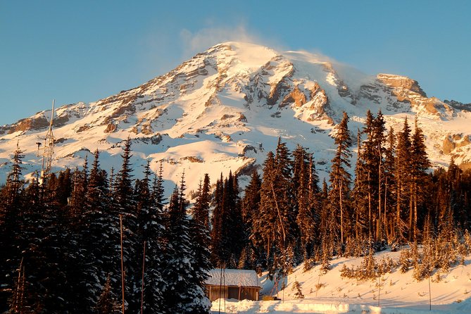 Mt. Rainier National Park Highlights Tour - Key things to know before you go