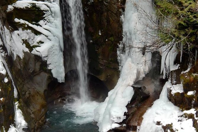 Mt. Rainier National Park Highlights Tour - What makes the guiding feel worth it: narration, volcanology, and pacing