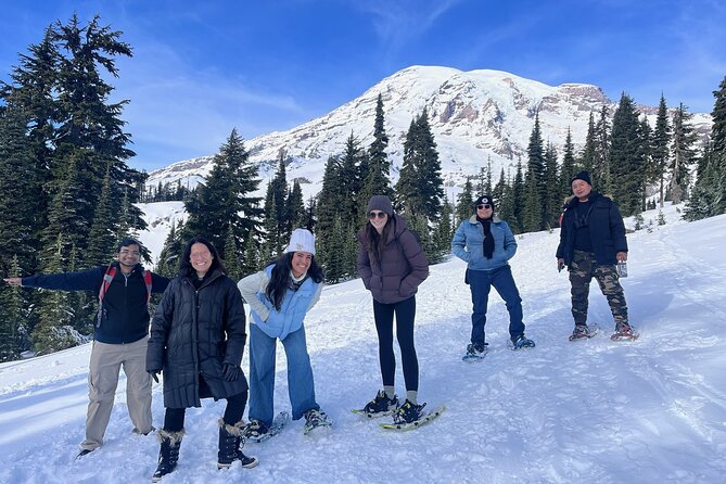 Mt. Rainier National Park Highlights Tour - Christine Falls and Narada Falls: the photo stops that feel like the main event
