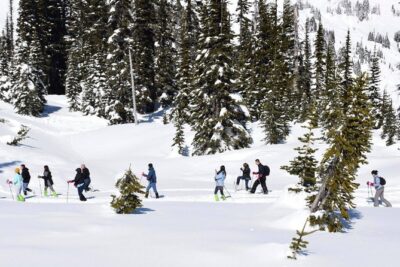 Mt. Rainier National Park Highlights Tour - Longmire Museum and the Trail of the Shadows: a calm start with real context