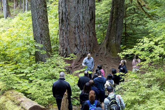 Mt. Rainier National Park Highlights Tour - Twin Firs Loop and Reflection Lakes: short walks that reward patience