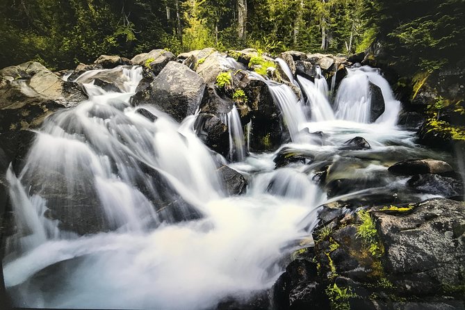 Mt. Rainier National Park Highlights Tour - Packing for a full-day Rainier outing: layers, traction, and lunch planning