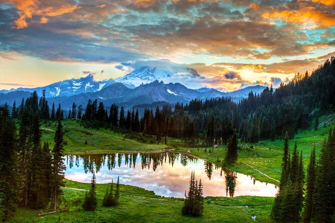 Mt Rainier National Park Small Group Day Tour from Seattle 2CanGo - Mt. Rainier’s South Side: Longmire Museum as Your Fast Orientation