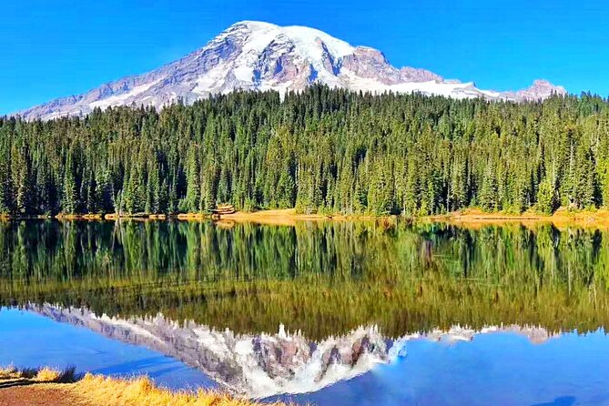 Mt Rainier National Park Small Group Day Tour from Seattle 2CanGo - Wonderland Trail in Winter: Snow-Quiet Scenery Instead of Summit Dreams
