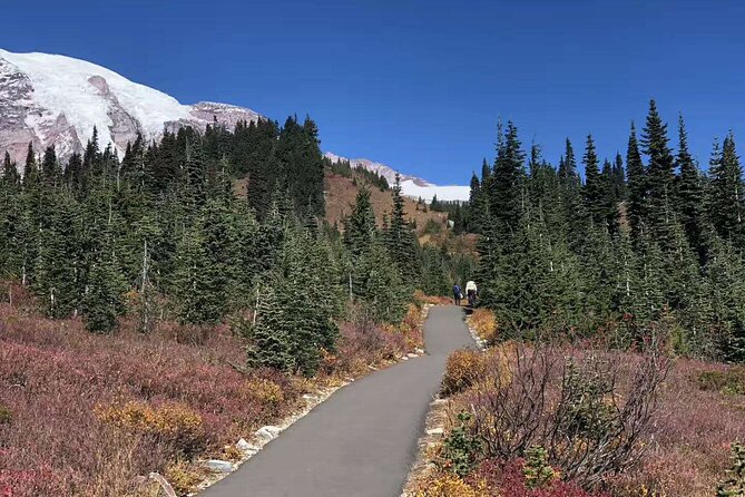Mt Rainier National Park Small Group Day Tour from Seattle 2CanGo - Hiking, Snowshoeing, and What “Most Travelers” Really Means Here
