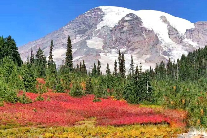 Mt Rainier National Park Small Group Day Tour from Seattle 2CanGo - Guide Quality Can Vary, So Look at the Pattern, Not One Stop