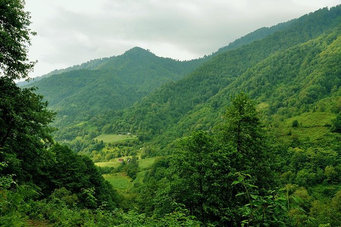 Mtirala National Park Tour - The cable car and the hike to waterfall and lake