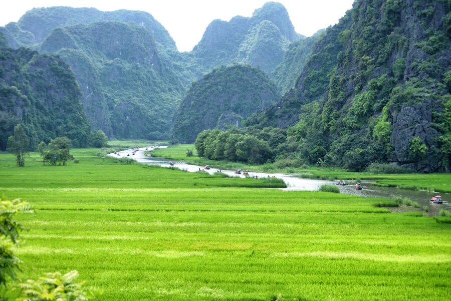 Mua Caves, Tam Coc, and Cuc Phuong National Park 2-Day Tour - Swim, Sunset Party, and the Bungalow Night Reset