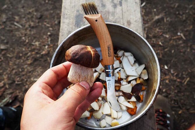 Mushroom Hunting in a National Park - Sorting, selecting, and learning what’s edible