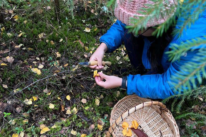 Mushroom Hunting in a National Park - The campfire lakeside lunch: Finnish food with a story