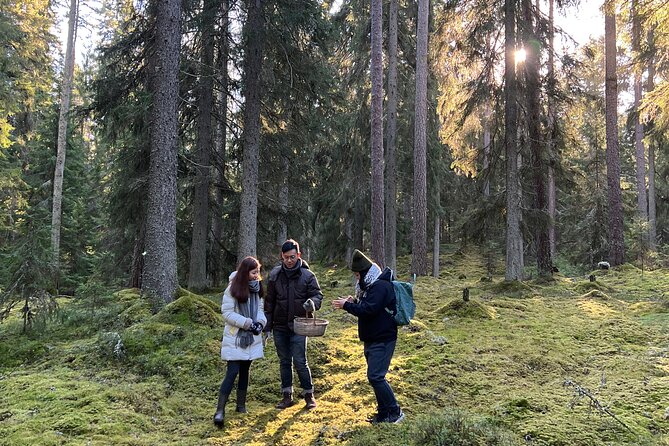 Mushroom Hunting in a National Park - What you’ll get in your daypack (and what you must bring)