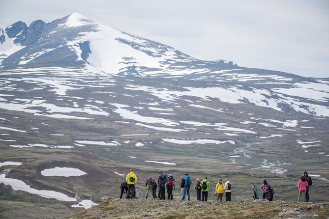 Musk ox Safari in Dovrefjell National Park, Oppdal Safari - The Break: Hot Drinks, Cinnamon Buns, and a Calm Reset