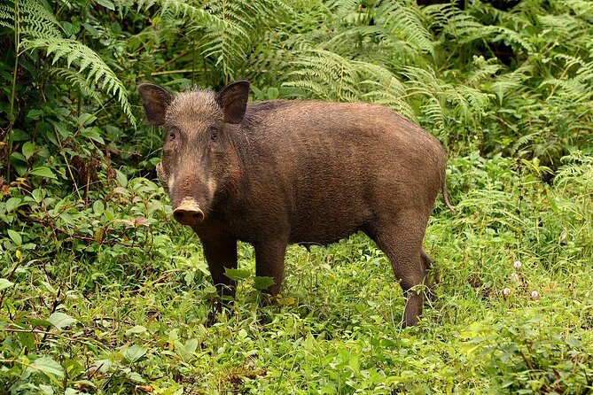Nam Cat Tien National Park 2 Days 1 Night - Private Tour - Meals, Hotel, and What You Actually Pay For