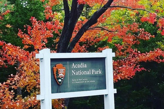 Narrated Bus Tour of Bar Harbor and Acadia National Park - Cadillac Mountain Summit: Quick Access to One of Acadia’s Big Views