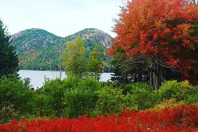 Narrated Bus Tour of Bar Harbor and Acadia National Park - Sieur de Monts Spring and the Wild Gardens: Learning Starts Here