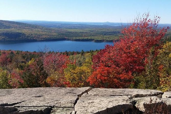 Narrated Bus Tour of Bar Harbor and Acadia National Park - Practical Tips for a Smooth Day (and a Better Chance at Great Views)