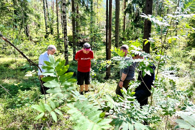National Park Hike & Finnish Smoke Sauna Experience with Campfire Lunch - Smoke sauna in the forest: sweating, cooling, showering, repeating