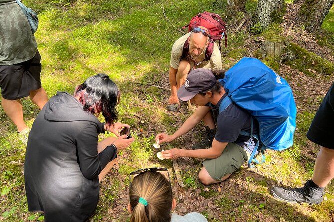 National Park Hike & Finnish Smoke Sauna Experience with Campfire Lunch - Pricing the experience: what $199.62 really buys