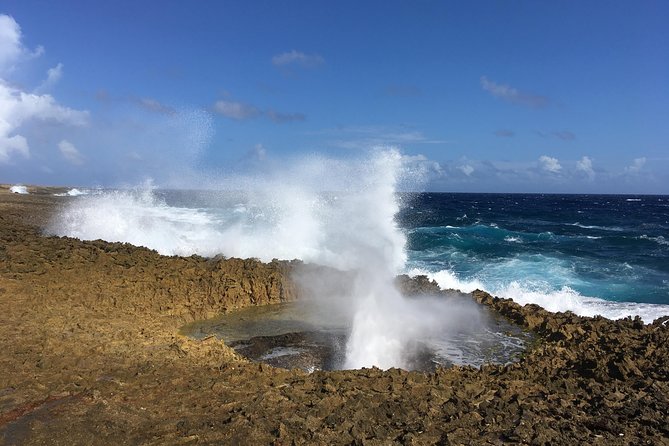 National Park Jeep Safari - Curacao viewpoints and history talk: the driving time that’s not wasted