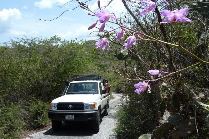 National Park Jeep Safari - The 6-hour timing: how the day actually feels