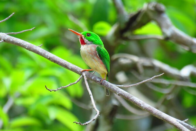 National Park of the East Private Hiking Tour with Swimming - Getting out of Santo Domingo without losing your whole day