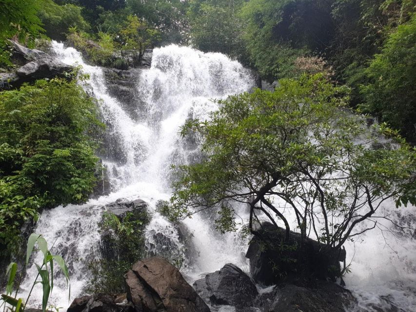 National Park - Paradise Cave & Phong Nha Cave - Inside Paradise Cave: A Guided First Kilometer Worth the Effort