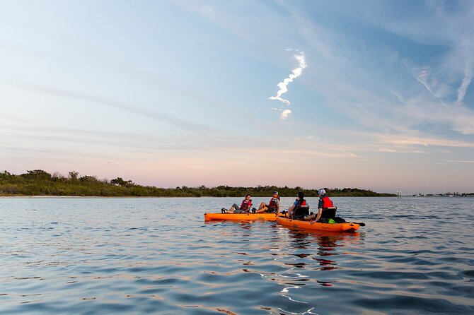 National Park Pedal Kayak Tours in New Smyrna Beach - Key highlights worth showing up for