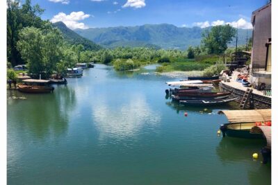 National park Skadar Lake (Private tour) - Budva: The Quick Coastal Hit (and What You Should Do With It)