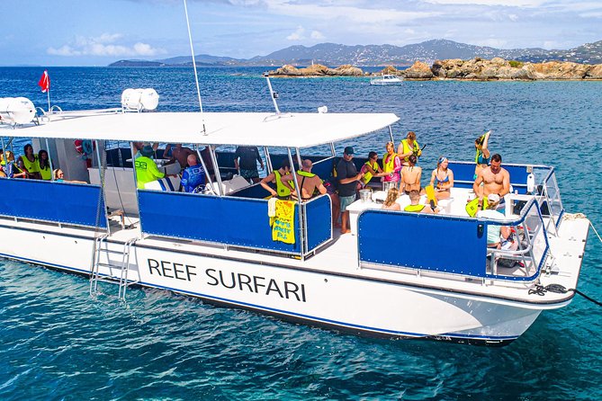National Park Snorkeling Excursion - Stop One: Sea Turtles, Coral, and the First Wildlife Checklist