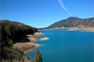 National Park Valia Calda (Metsovo, Aoos springs) - Wildlife, plants, and the reality check on seeing it all