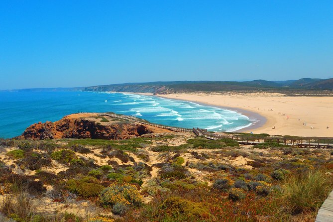 National Park West Coast Half Day Tour from Lagos - Stop 4: Arrifana Beach for Cliff Views (30 minutes)