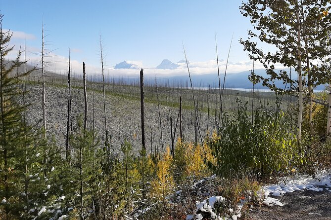 Nature Walk in Glacier National Park - West Glacier Start: Simple Setup for a Glacier First Day