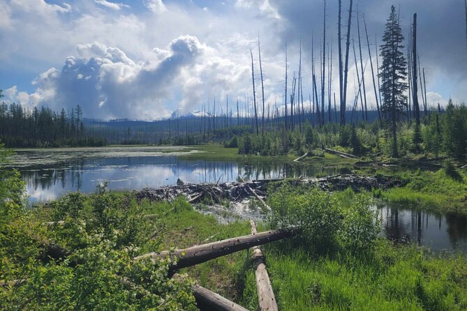 Nature Walk in Glacier National Park - Guides Who Make It Feel Personal (Without Rushing You)