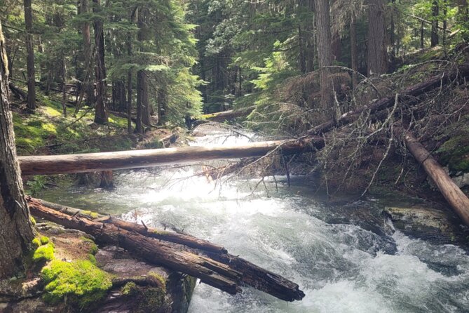 Nature Walk in Glacier National Park - What’s Included (and What You’ll Need to Bring)