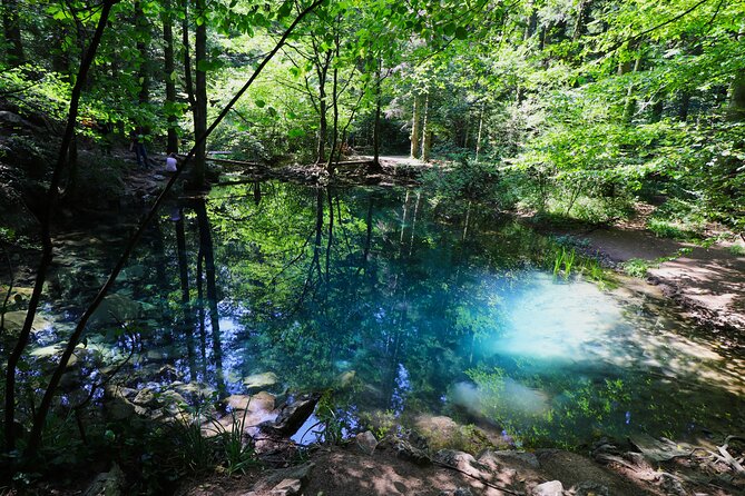 Nera Gorge National Park - Private Day Tour from Timisoara - Key highlights worth marking on your map