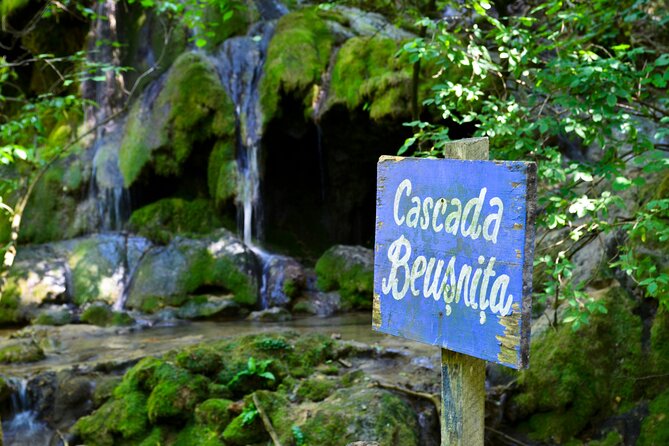 Nera Gorge National Park - Private Day Tour from Timisoara - Nera Gorge in one day: short walks, big payoffs