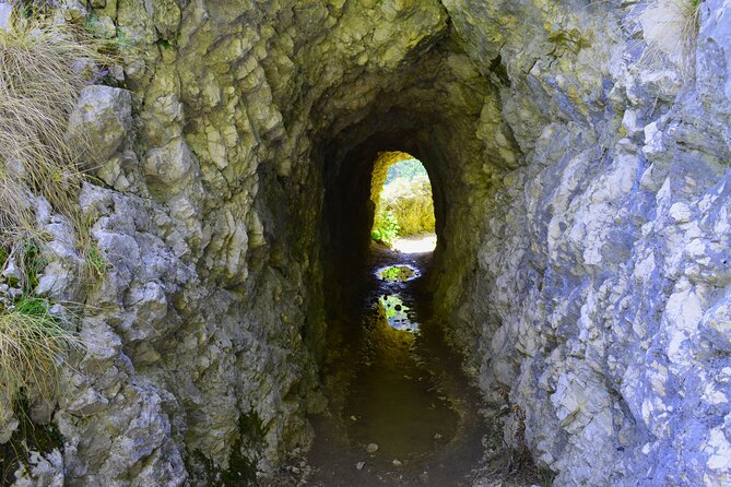 Nera Gorge National Park - Private Day Tour from Timisoara - La Vaioaga waterfall: a close-up that starts with a short trek