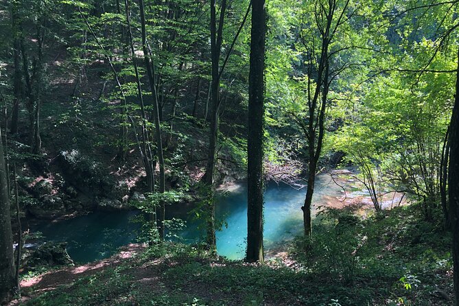 Nera Gorge National Park - Private Day Tour from Timisoara - Beușnița waterfall: plan around water volume, not hype
