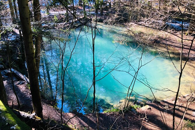 Nera Gorge National Park - Private Day Tour from Timisoara - The rhythm of the day: pickup, timing, and what 9 hours really means