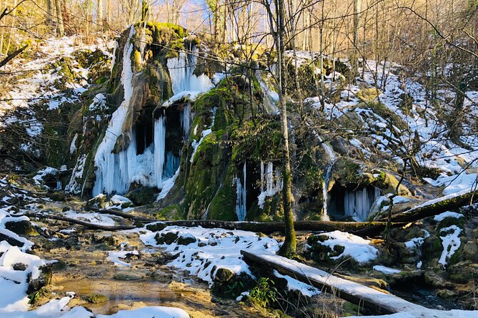 Nera Gorge National Park - Private Day Tour from Timisoara - Price and value: what $177.44 covers (and what you still need)