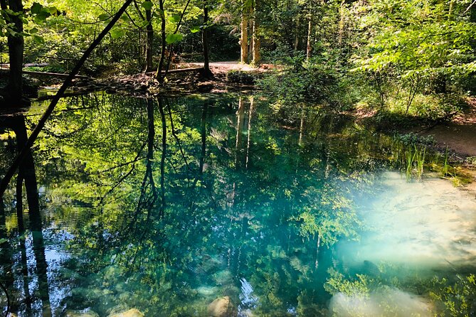 Nera Gorge National Park - Private Day Tour from Timisoara - Who this private tour fits best