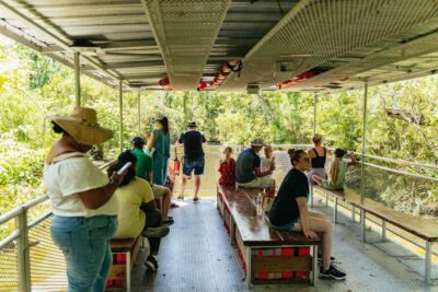 New Orleans: Bayou Tour in Jean Lafitte National Park - Getting On the Water: Meeting Point, Boat Setup, and Your First Checks