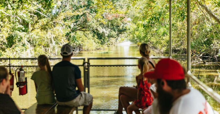 New Orleans: Bayou Tour in Jean Lafitte National Park - Wildlife You Can Plan For (And Why Some Days Feel Better)
