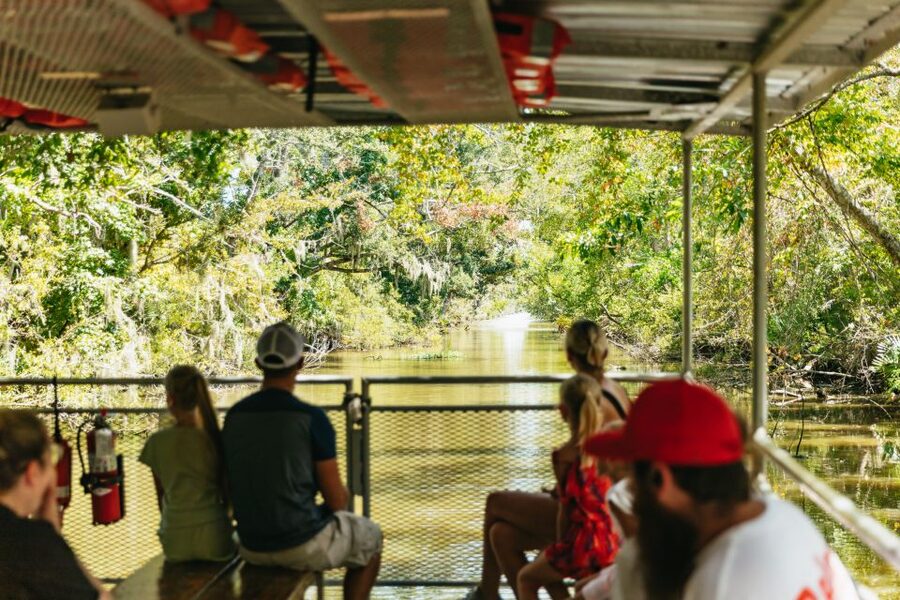 New Orleans: Bayou Tour in Jean Lafitte National Park - Practical Tips: Clothing, Timing, and Wildlife-First Mindset