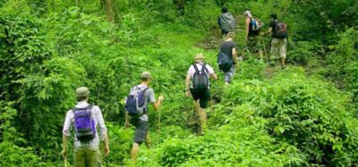 Ninh Binh: Cuc Phuong National Park 1 Day Small Group - How the Pickup and Ride Sets the Pace