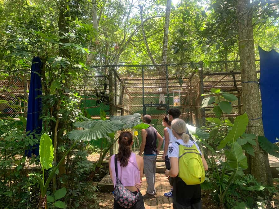 Ninh Binh: Cuc Phuong National Park 1 Day Small Group - Lunch in the Forest: Fuel Without Slowing Down
